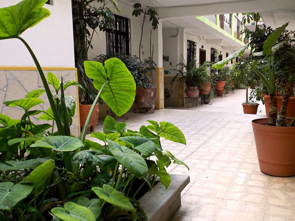 Hotel Posada Las Casas San Cristóbal de Las Casas Eksteriør billede